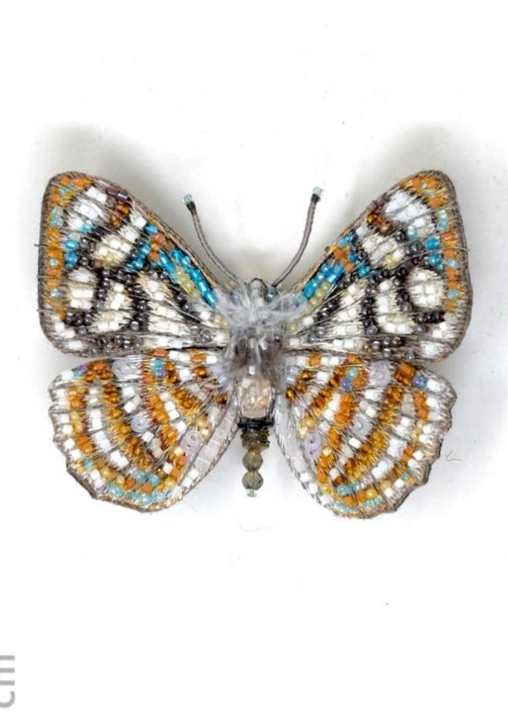 Trovelore Racidula Sailor Butterfly Pin Handmade