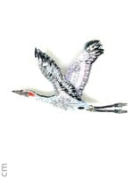 Trovelore Sandhill Crane Brooch Pin Handmade PREORDER