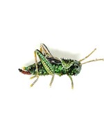 Trovelore Two Stripped Grasshopper Brooch Pin PREORDER