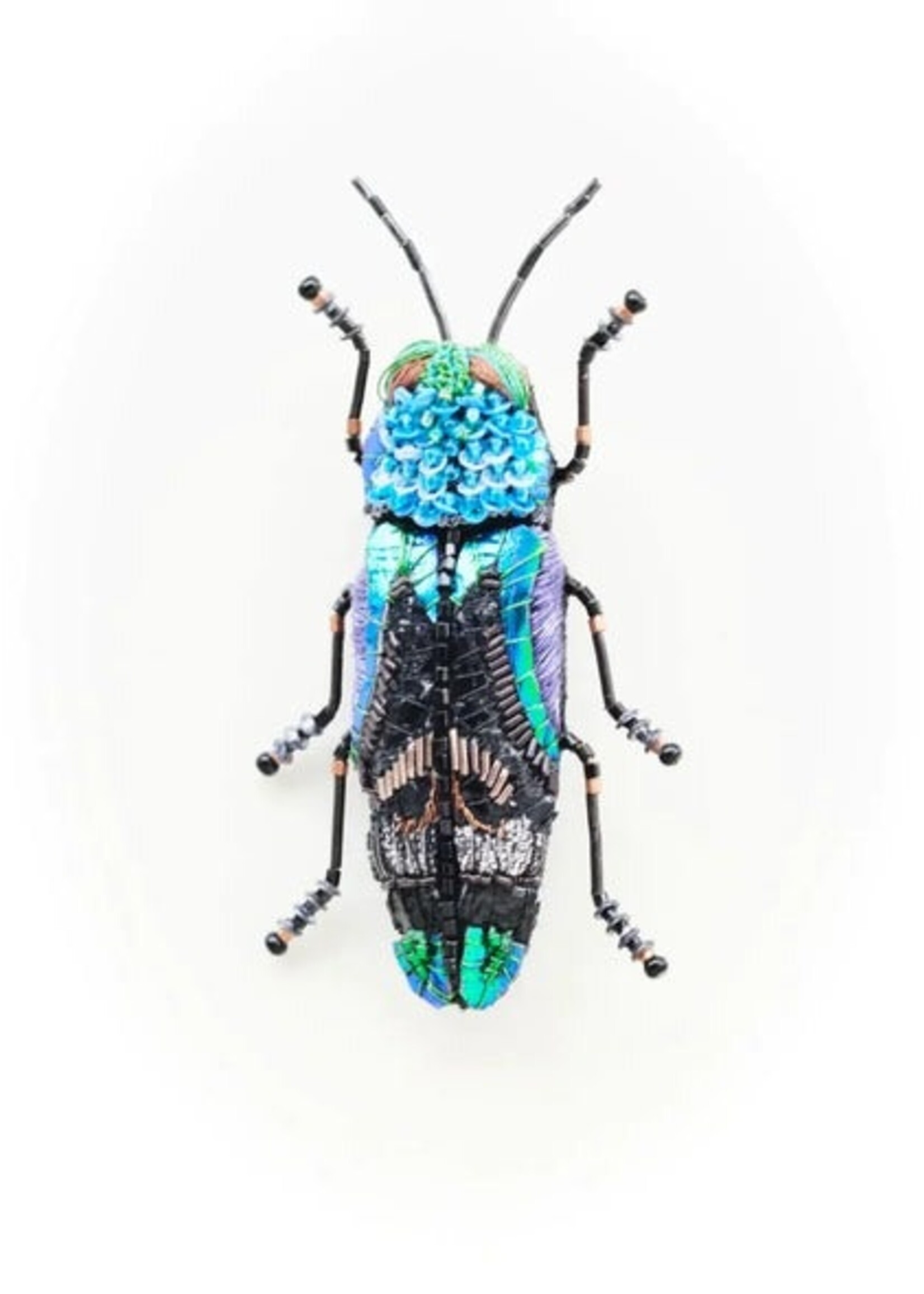 Trovelore Ulkei Beetle Brooch Pin Handmade