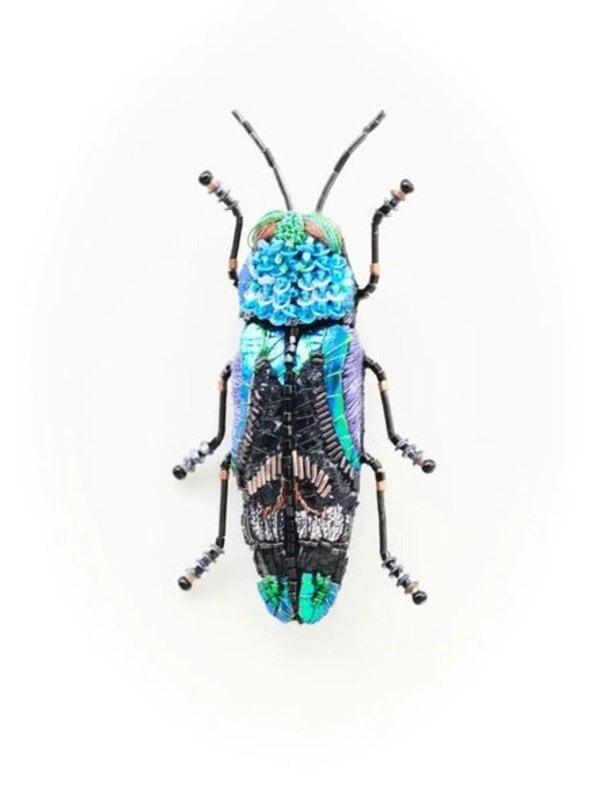 uklei beetle brooch trovelore