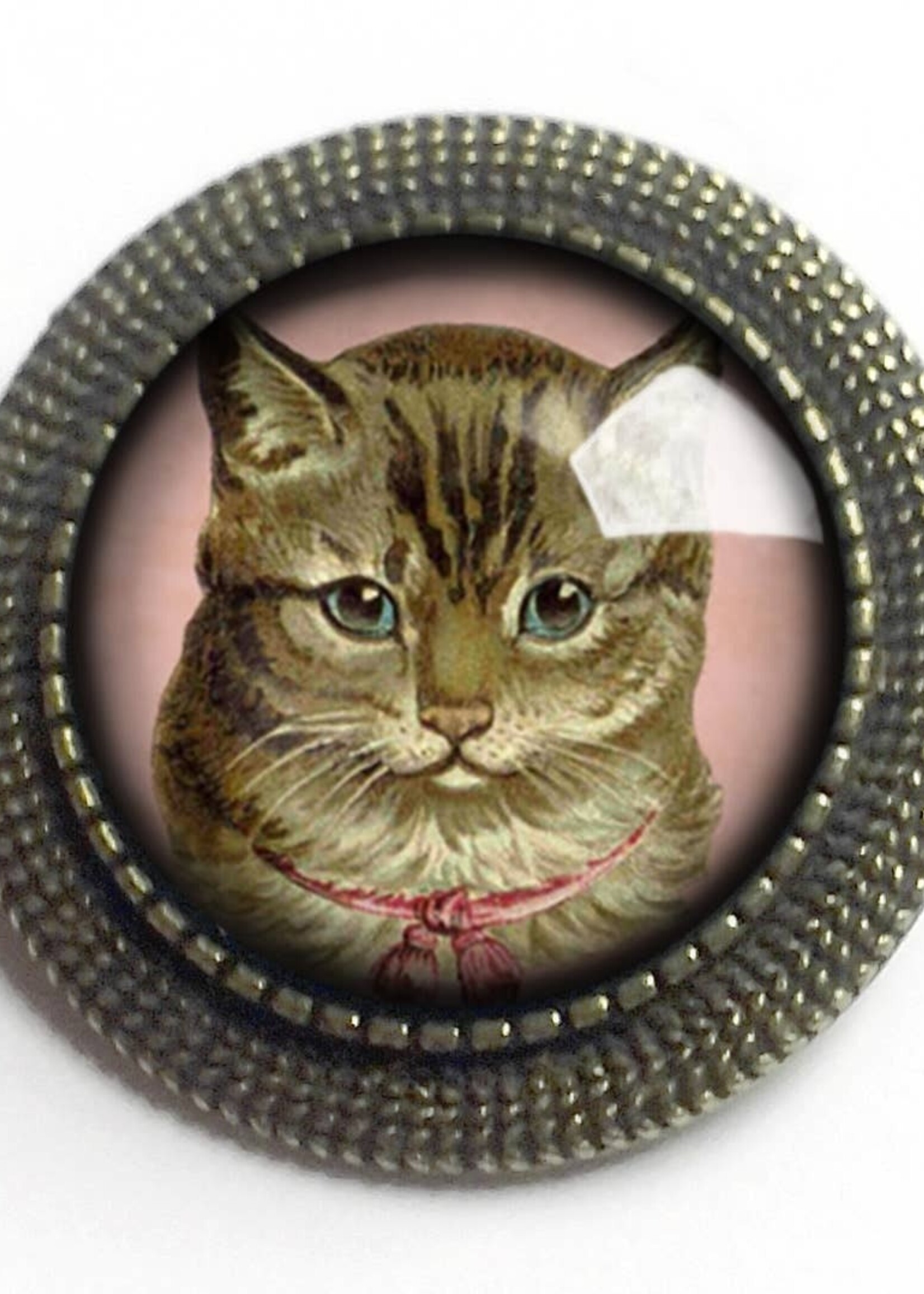 The Divine Iguana Victorian Tabby Cat Cabochon Brooch Best Friends