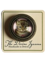The Divine Iguana Victorian Tabby Cat Cabochon Brooch Best Friends