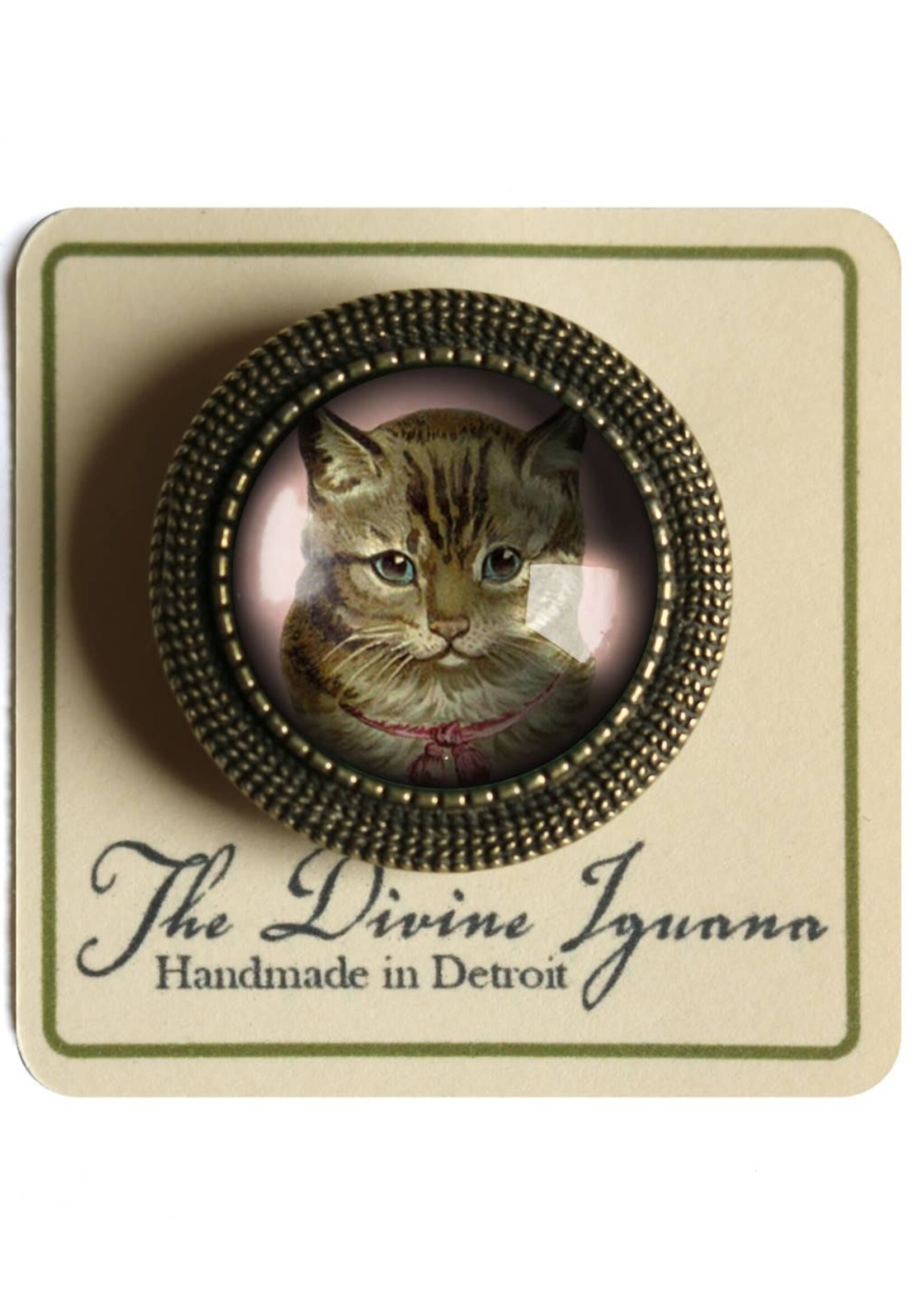 The Divine Iguana Victorian Tabby Cat Cabochon Brooch Best Friends