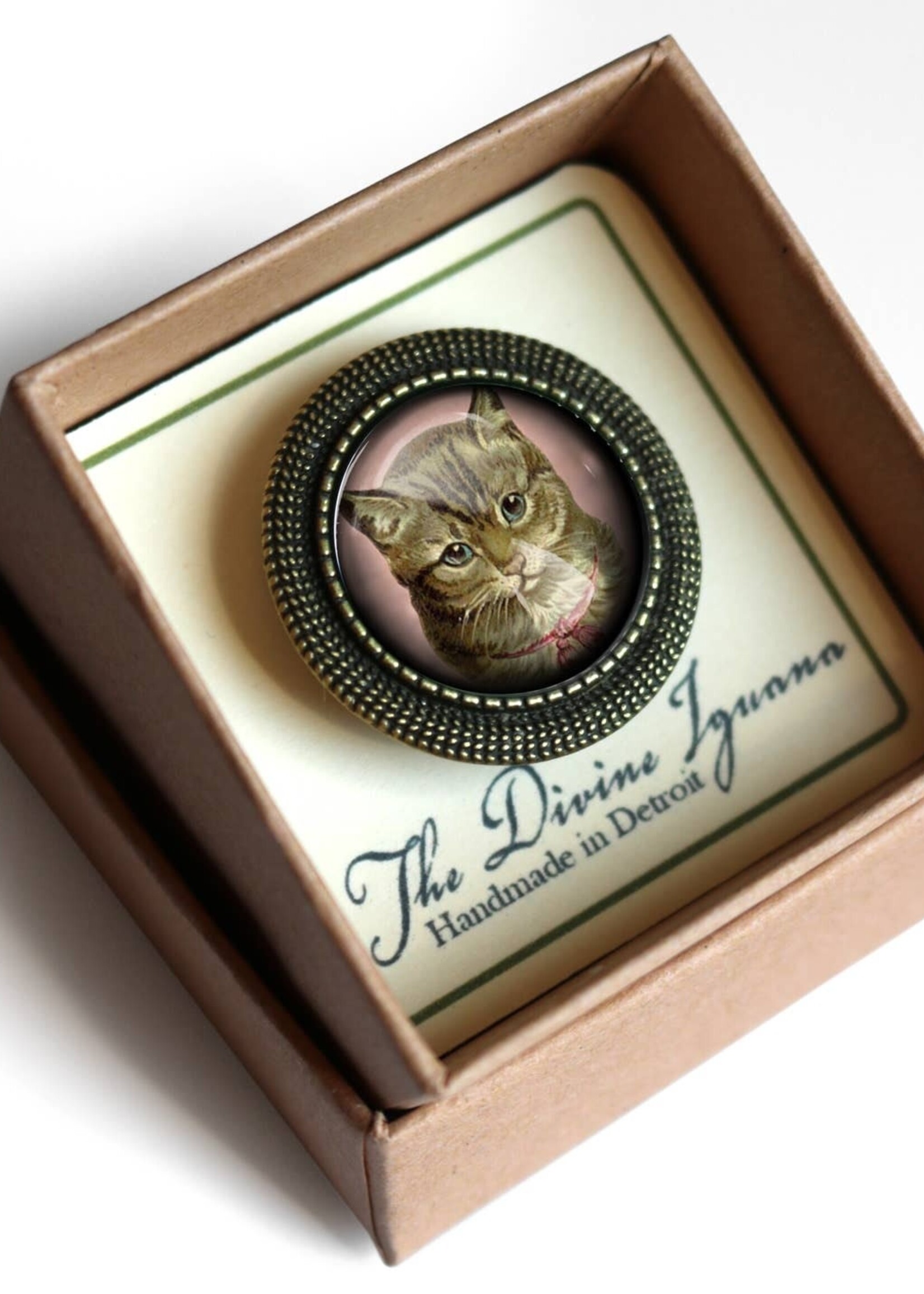 The Divine Iguana Victorian Tabby Cat Cabochon Brooch Best Friends