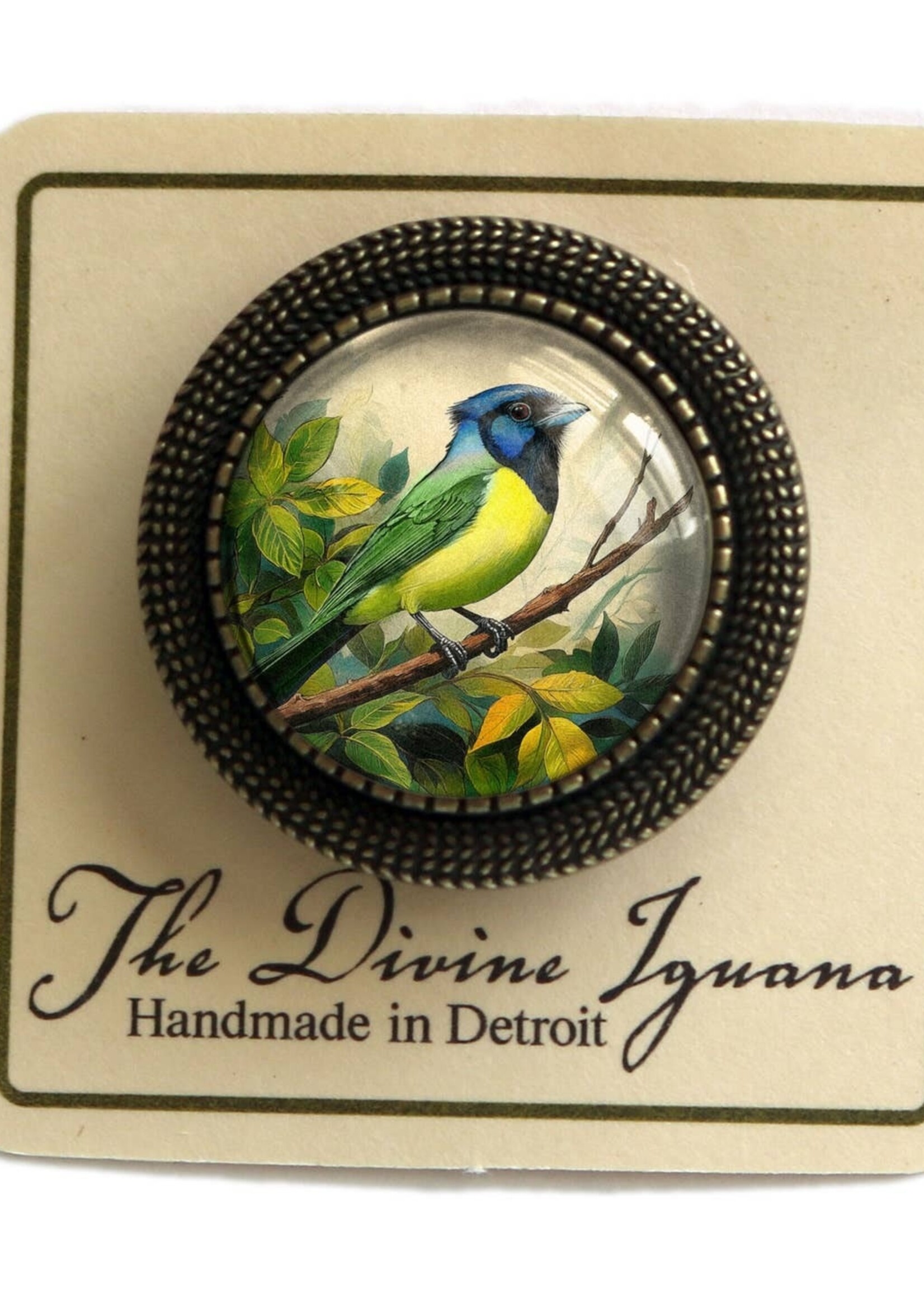 The Divine Iguana Victorian Green Jay Cabochon Brooch
