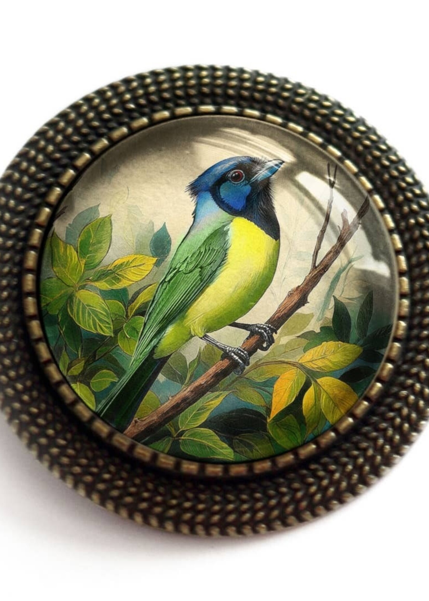 The Divine Iguana Victorian Green Jay Cabochon Brooch