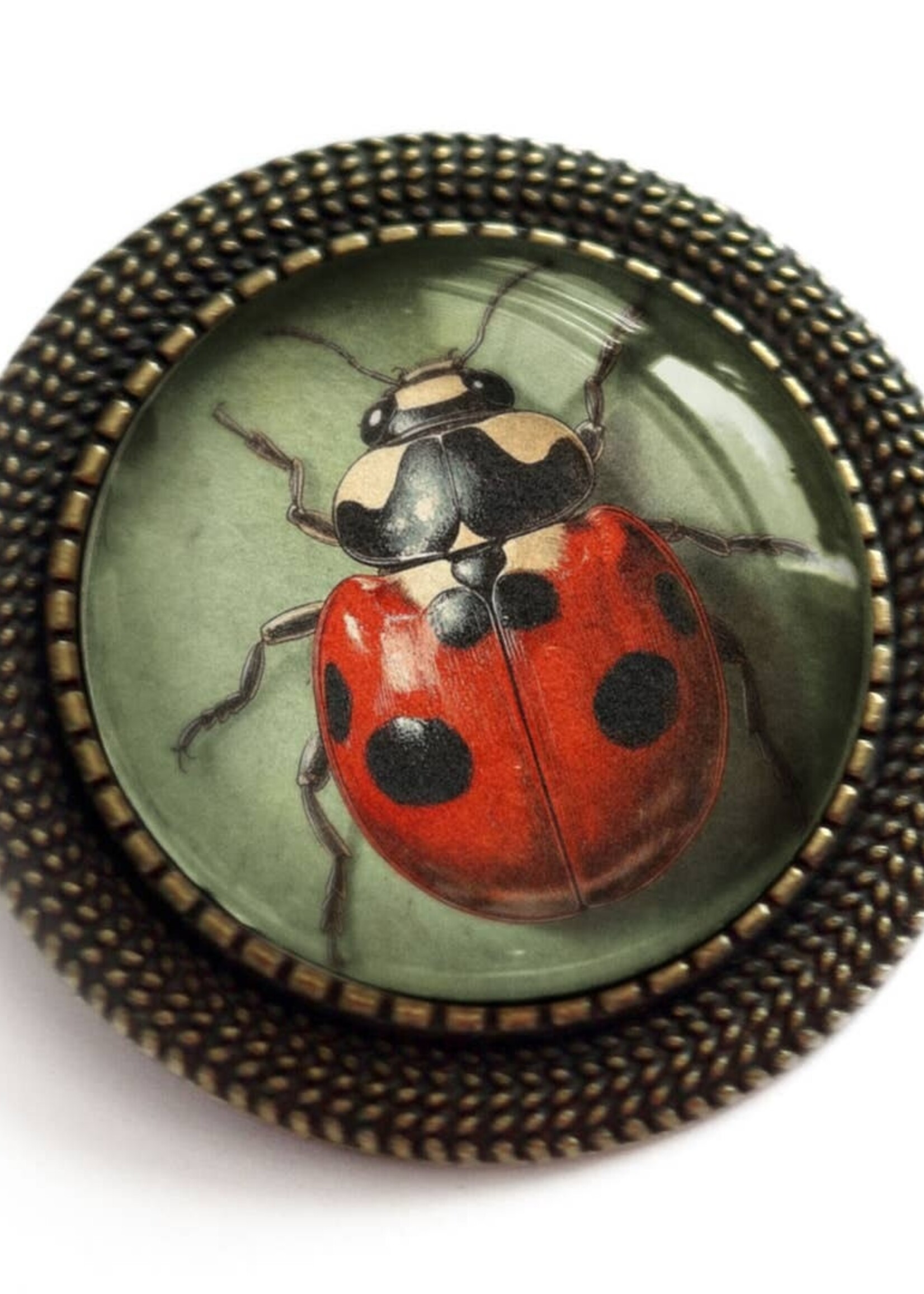 The Divine Iguana Victorian Ladybug Cabochon Brooch