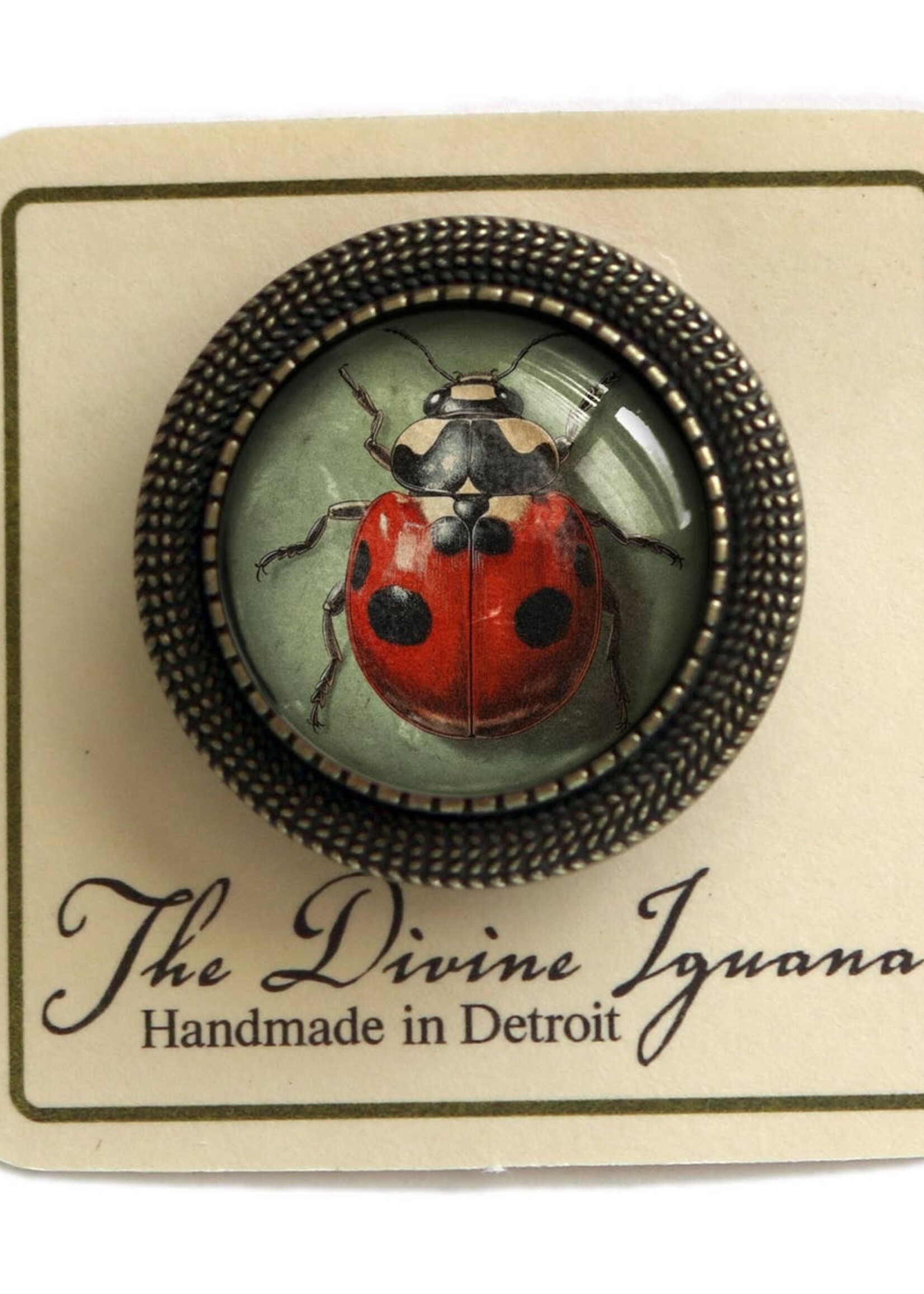 The Divine Iguana Victorian Ladybug Cabochon Brooch