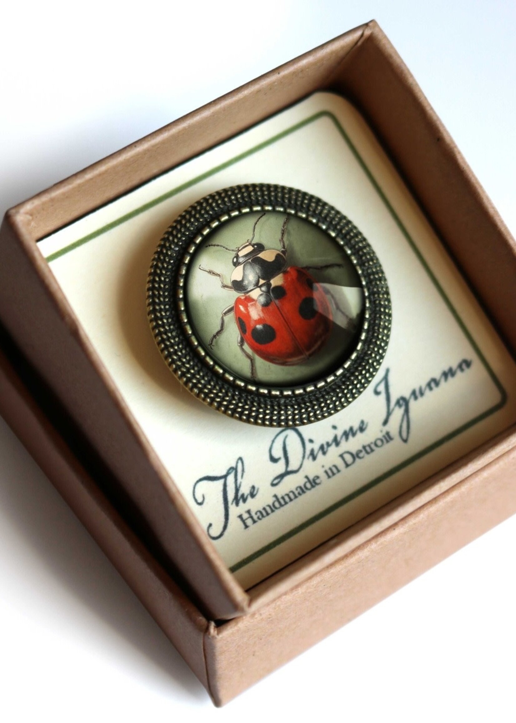 The Divine Iguana Victorian Ladybug Cabochon Brooch
