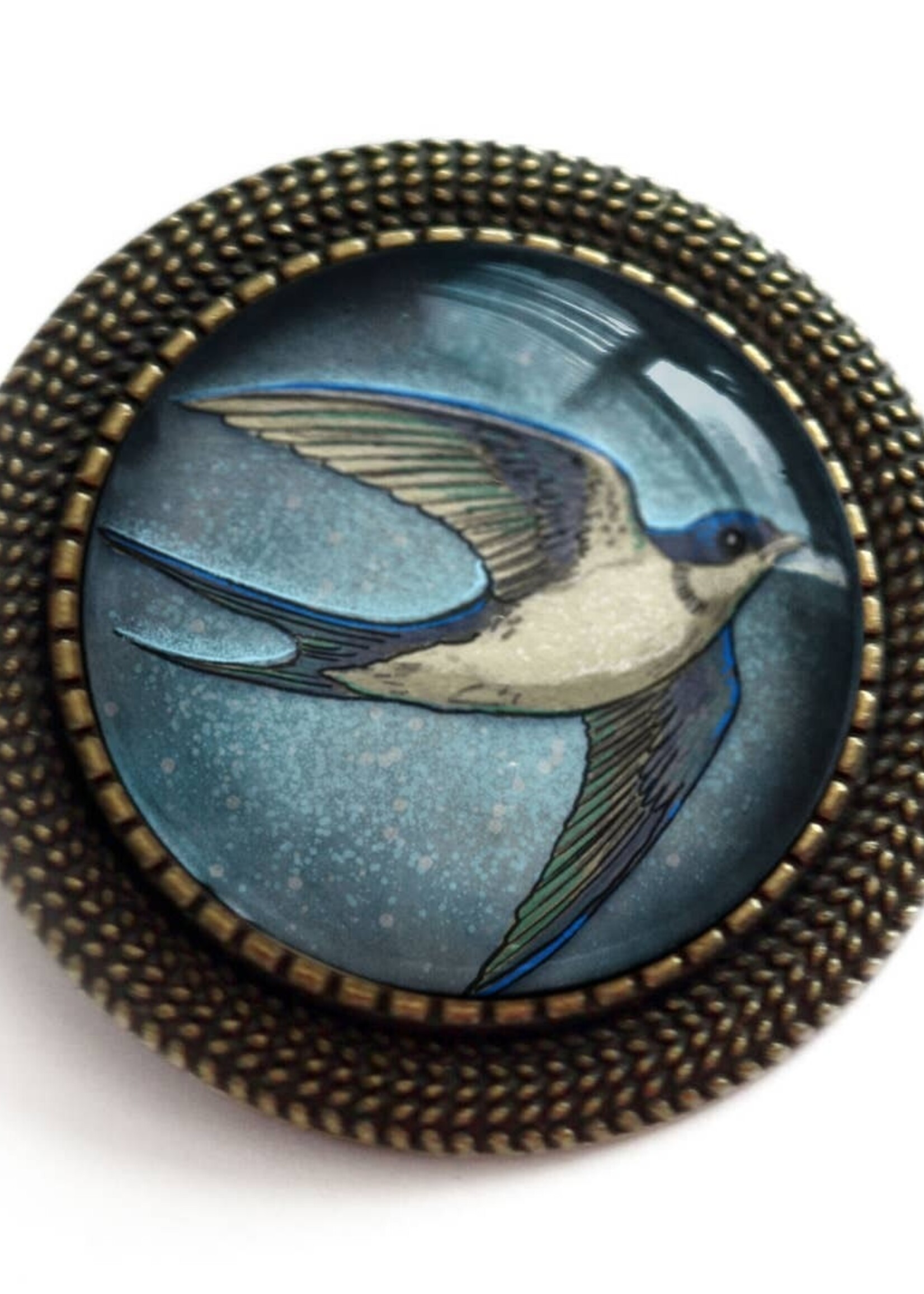 The Divine Iguana Swift Bird Glass Cabochon and Bronze Brooch