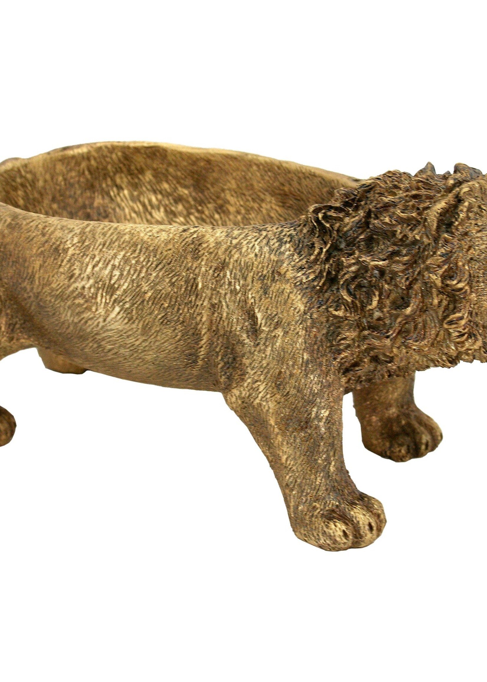 Gold Lion Bowl