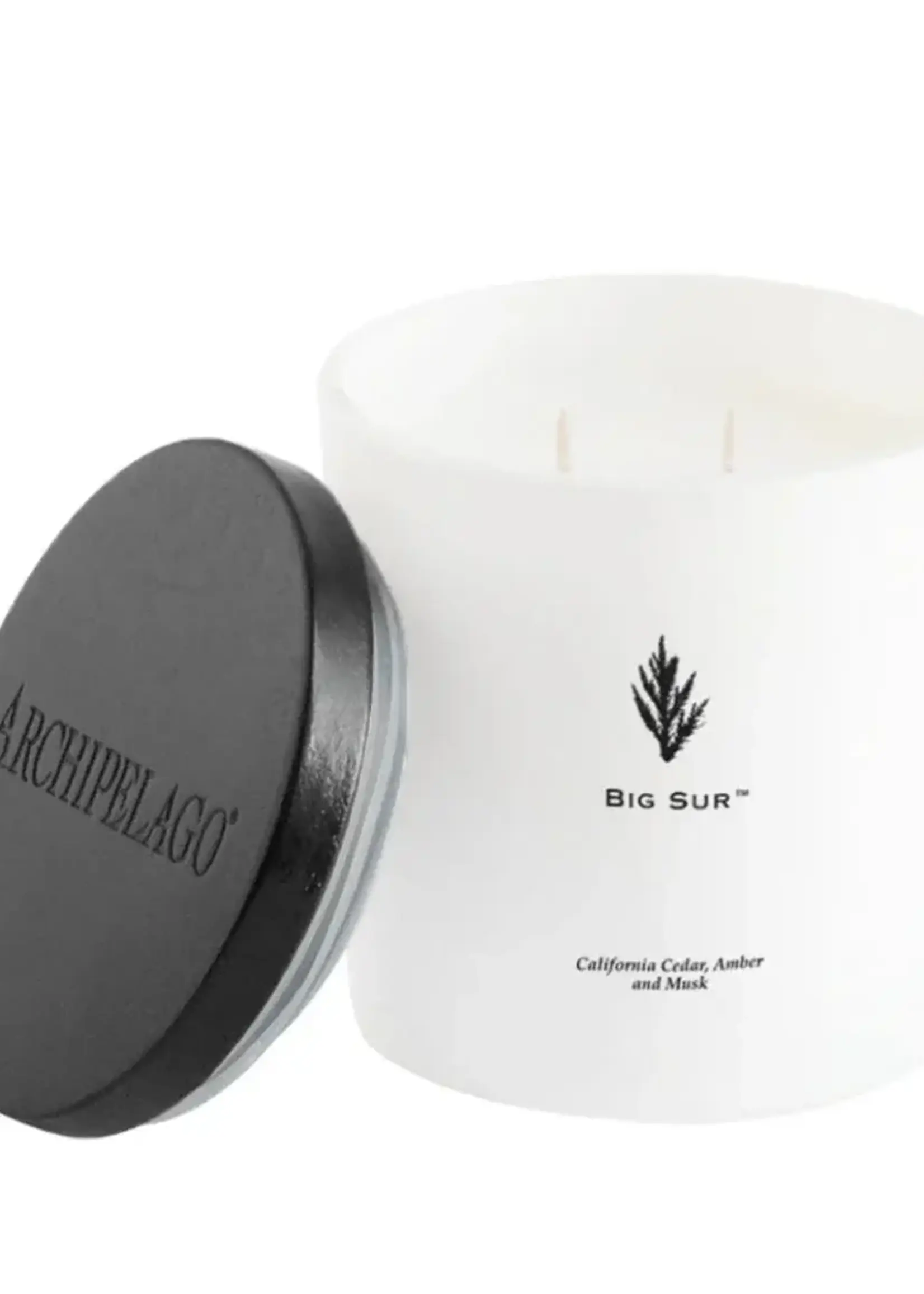 Archipelago Botanicals Big Sur Luxe Candle