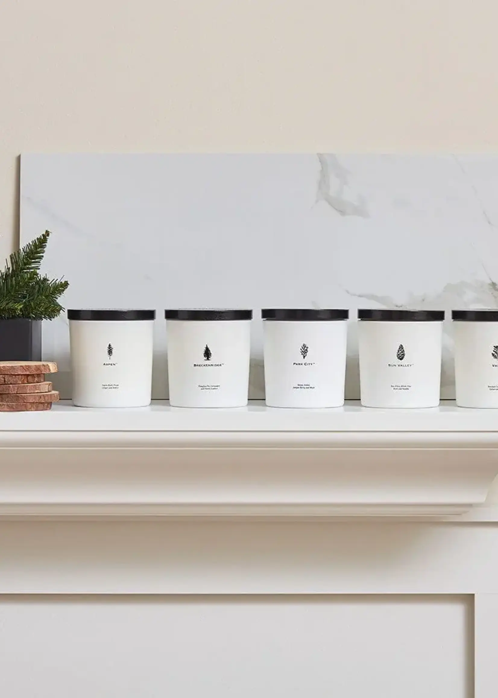 Archipelago Botanicals Aspen Luxe Candle