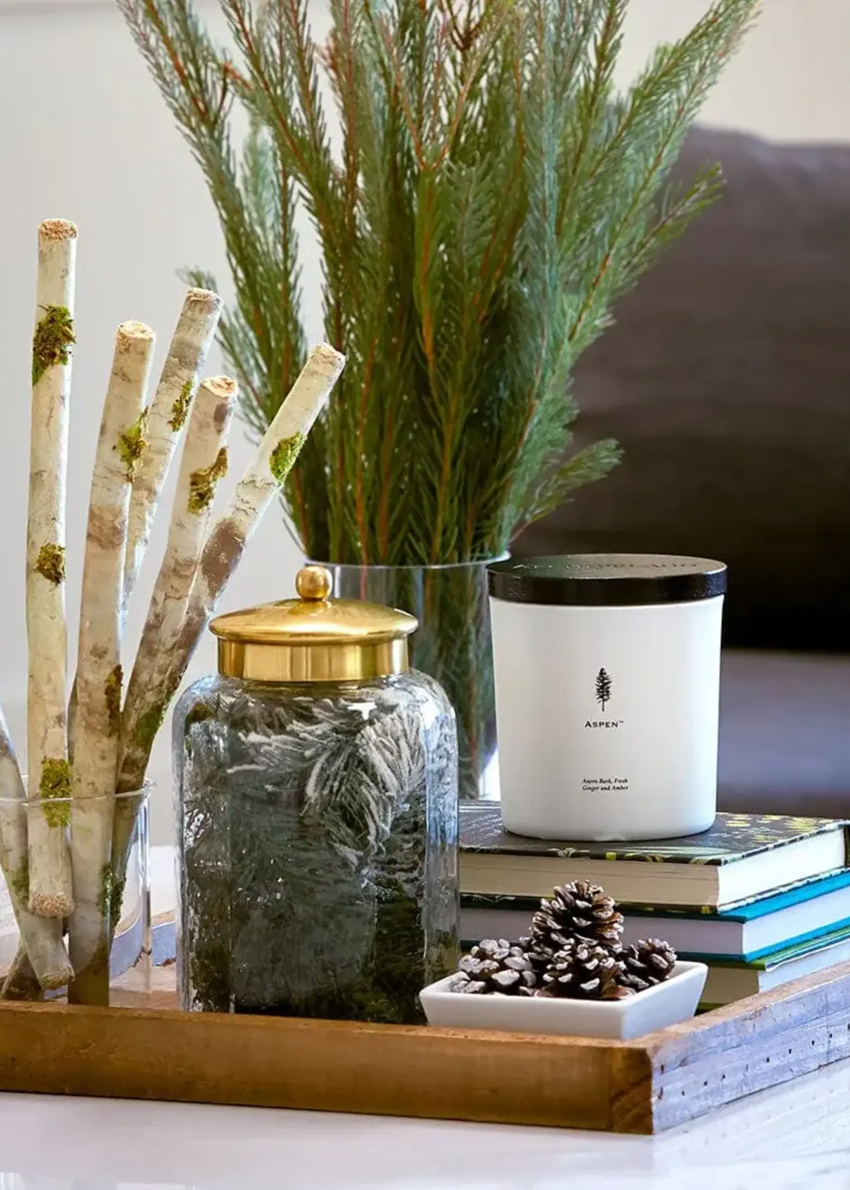 Archipelago Botanicals Aspen Luxe Candle