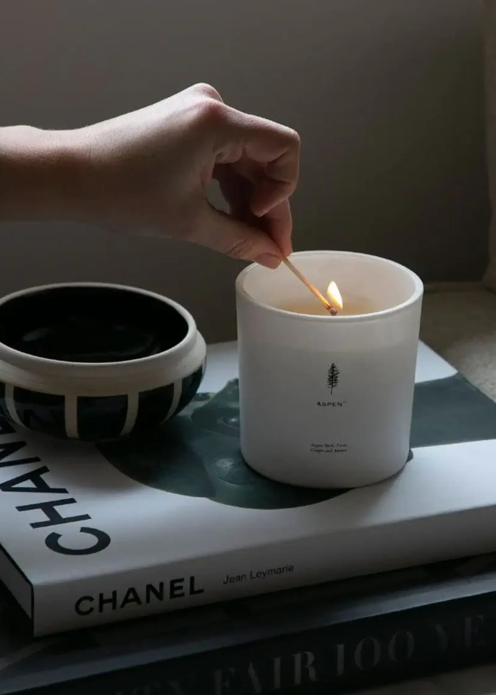 Archipelago Botanicals Aspen Luxe Candle