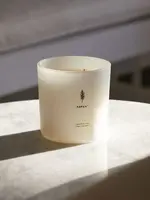 Archipelago Botanicals Aspen Luxe Candle