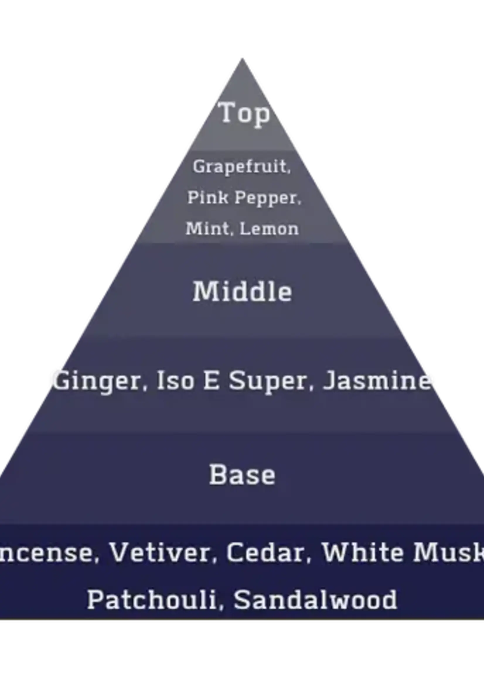 ALT. Fragrances Bleau Perfume (Inspired by Bleu) 60 ML