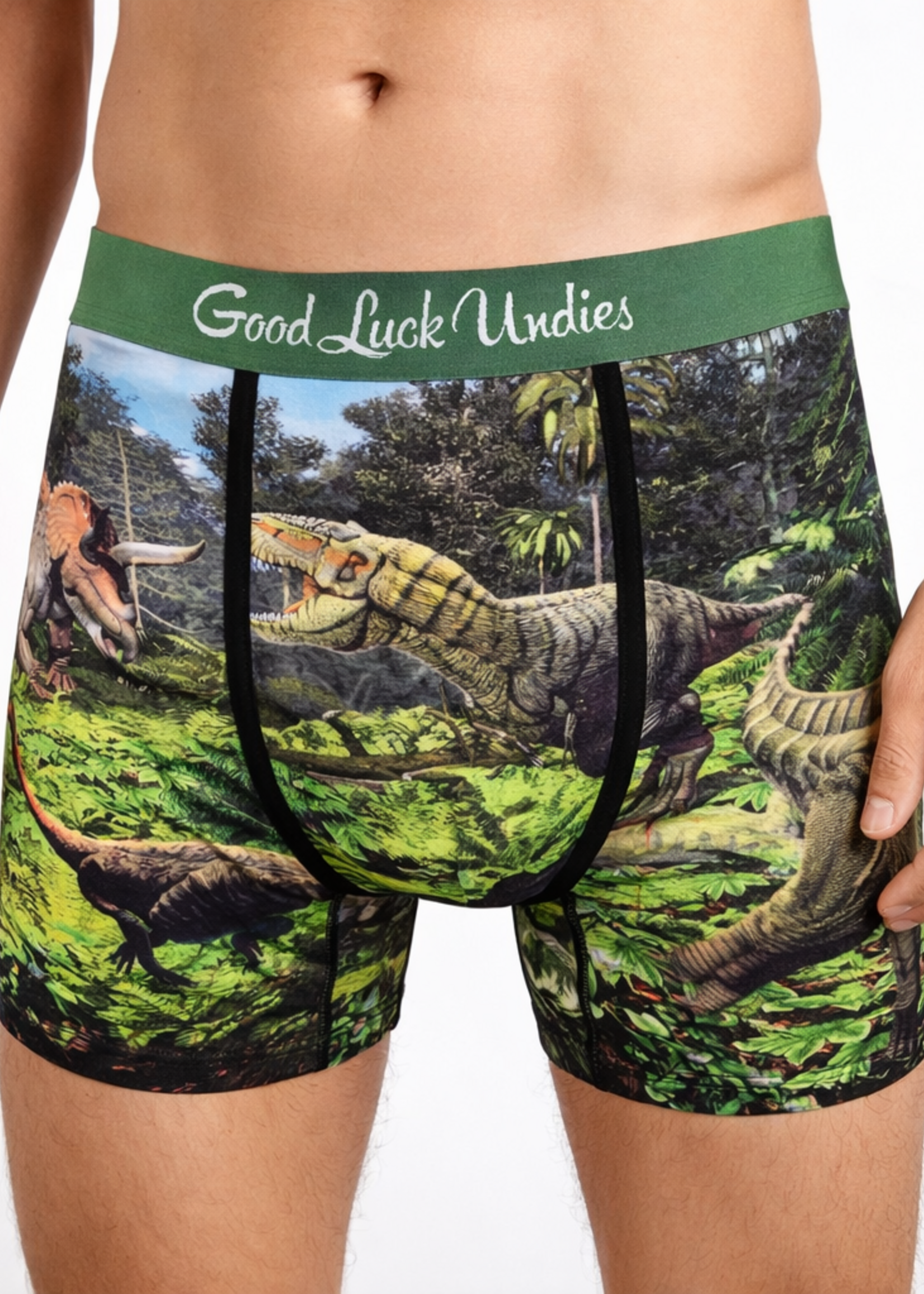 Dino Valley Boxers