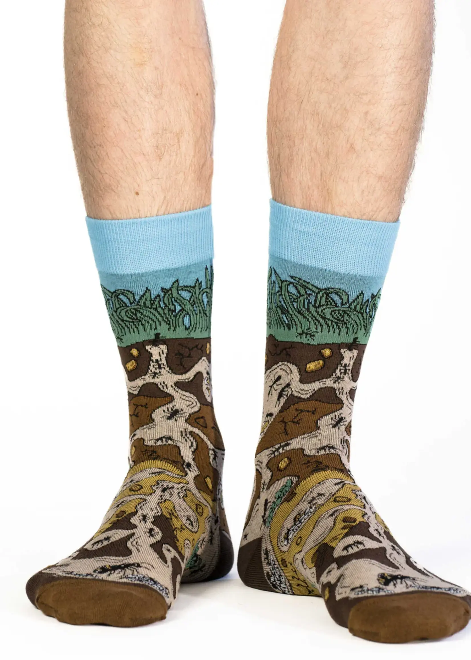 Men's Ant Colony Socks