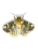 Trovelore Peach Blossom Moth Brooch Pin Handmade PREORDER