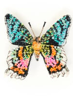 Trovelore Madagascar Sunset Moth Brooch Pin Handmade PREORDER