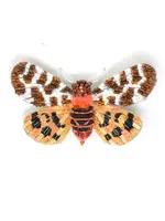 Trovelore Giant Tiger Moth Brooch Pin Handmade PREORDER