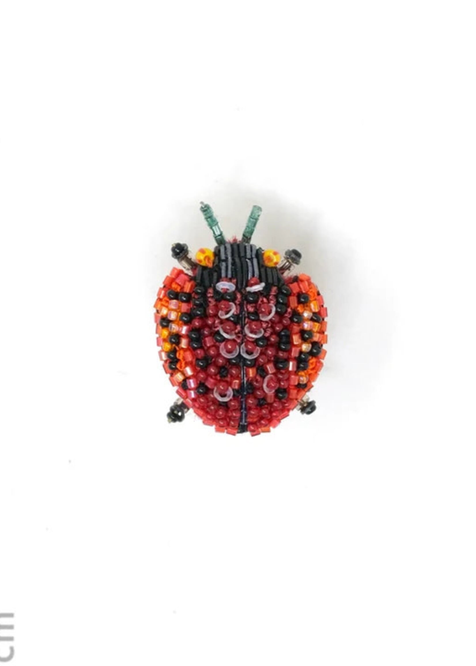 Trovelore Sweet Potato Beetle Brooch Pin PREORDER