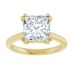 Ever & Ever Square Double claw Solitaire Ring