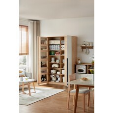 Garde manger 2 portes 120x60x200 cm Bois + Blanc