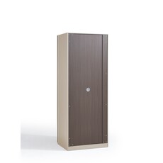 Penderie 2 portes vitrées aluminium 80x62x210 cm Marron gris