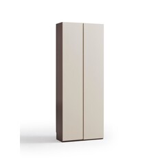 Armoire 2 portes 80x35x210 cm Marron gris