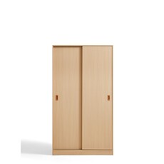 Armoire penderie 2 portes coulissantes 100 cm Bois