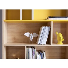 Bibliothèque 2 portes fond coloré