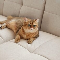 Canapé 3 places en tissu 215x108x76 cm Blanc