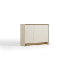 Meuble à chaussures 3 portes 120x40x90 cm Blanc Bois