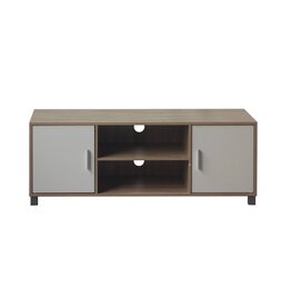 Meuble TV Steely 2 portes 120x40x45cm