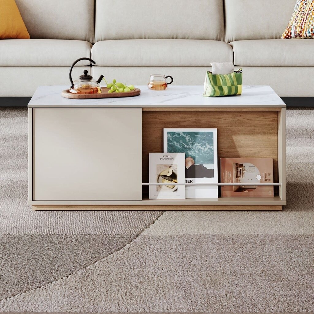 Table basse 1 tiroir 1 porte 100x50x41 cm Gris et Bois