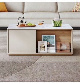 Table basse 1 tiroir 1 porte 100x50x41 cm Gris et Bois