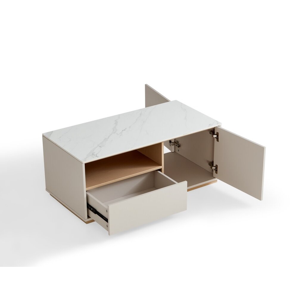 Table basse 1 tiroir 1 porte 100x50x41 cm Gris et Bois