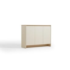 Meuble à chaussures 3 portes 120x40x90 cm Blanc Bois