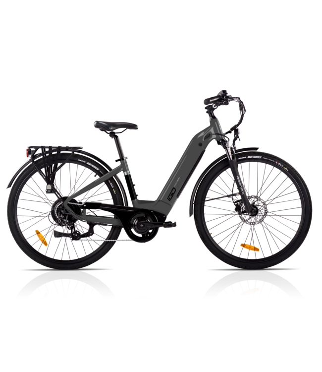 2019 igo 2024 electric bike