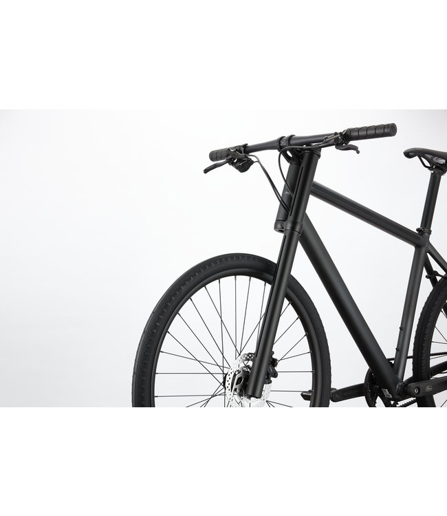 2021 Cannondale Bad Boy 1 650b