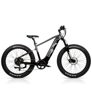 iGO iGO Outland - Oka E-Bike