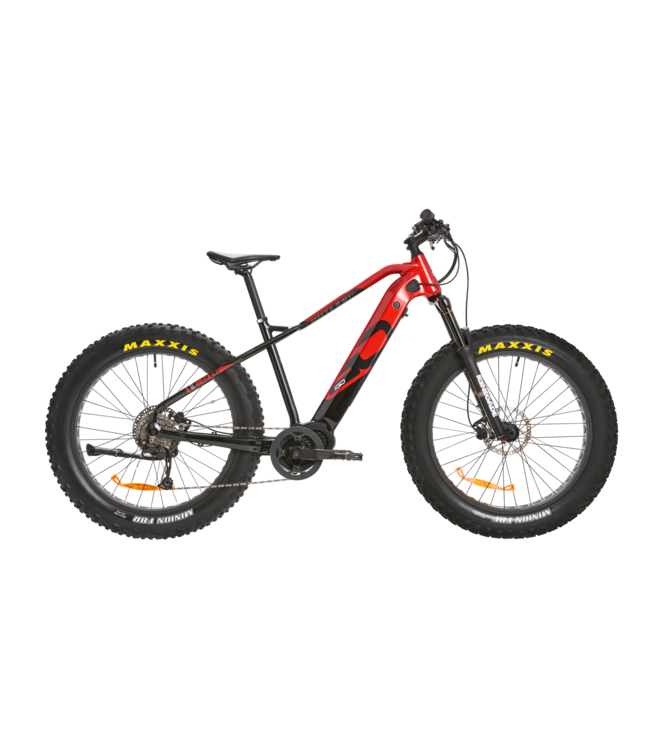 iGO Outland Torngat RS e Bike Magasin de velos en ligne