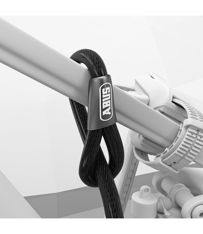 Serrure de vélo High-Grade de Thule