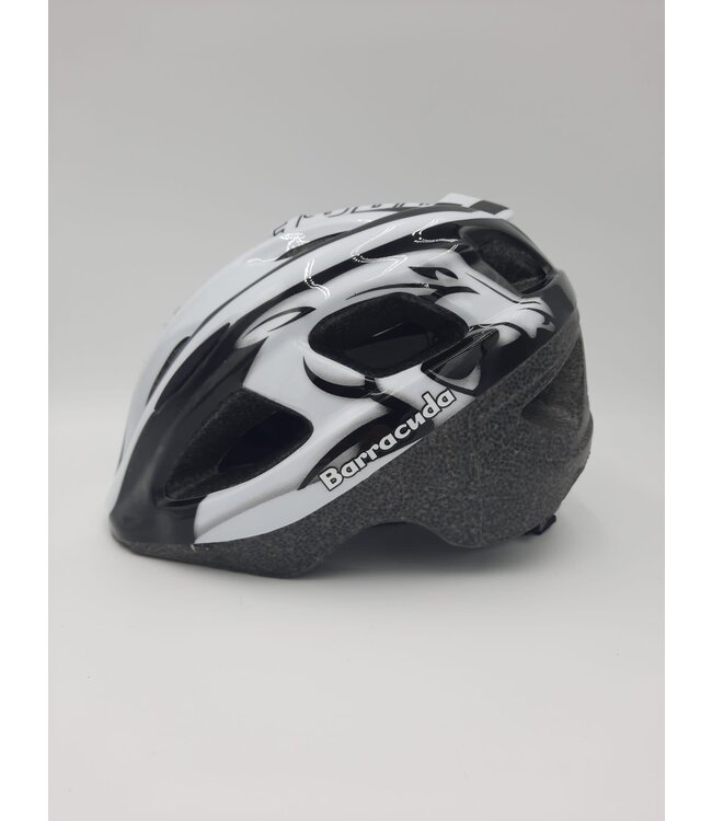 BBC Barracuda Helmet