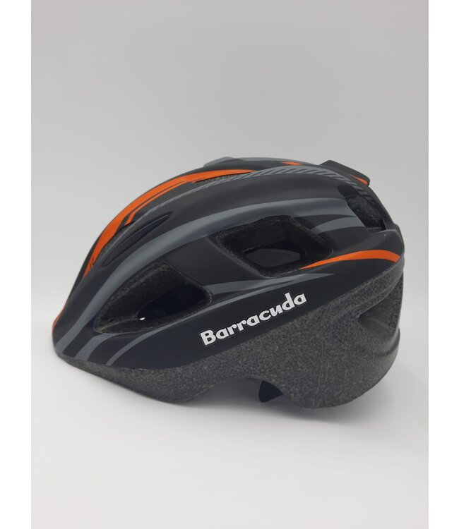 Casque Barracuda de BBC