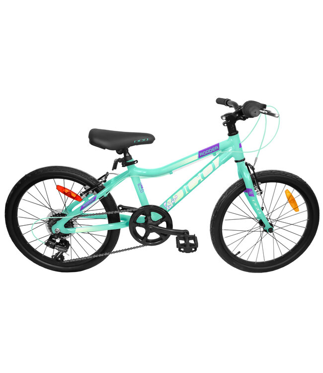 DCO Roader F 20" Turquoise lime mauve