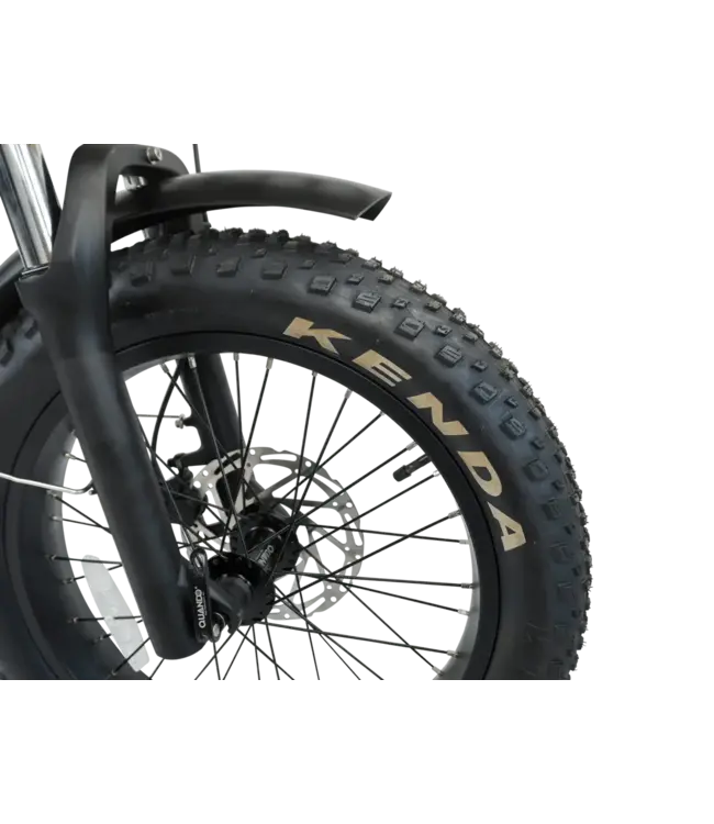 NEW ENVO Flex Folding e-Trike